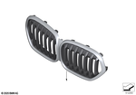 51138080619 - : Grille Front for BMW Image