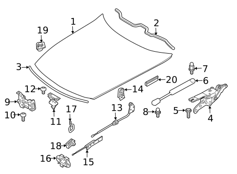 Hood & Components for 2008 BMW Z4 #0