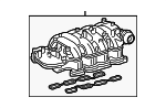 Manifold Assembly, Intak
