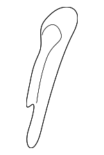 ZZ9939A01B - Brakes: Lock Nut Cotter Pin for Mazda: B2300, B2500, B3000, B4000 Image