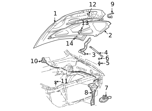 Hood & Components for 2004 Ford Expedition #0