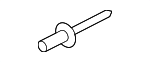PAF016206 - Body: Hinge Rivet for Porsche: Cayenne, Macan, Panamera Image