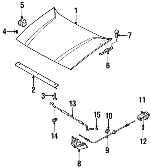 Hood & Components for 2002 Isuzu Rodeo #0