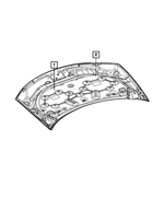 5058112AB - Labels: Belt Routing Label for Mopar Image