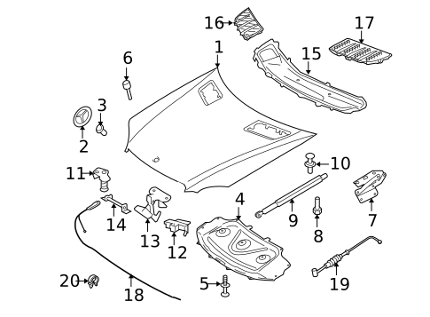 Hood & Components for 2010 Mercedes-Benz ML 63 AMG&reg; #0