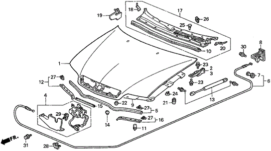 Engine Hood for 1997 Acura CL #0