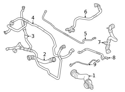 Radiator Hoses for 2021 BMW X3 #0