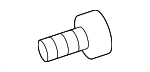 94520624 - Body: Grille Screw for GM Image