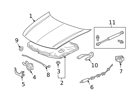 Hood & Components for 2010 Acura TSX #0