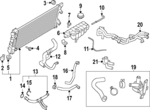NL1Z8063B - Cooling System: Reservoir Hose for Ford: Expedition | Lincoln: Navigator Image