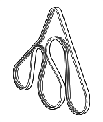 F87Z8620HA - Cooling System: Serpentine Belt for Ford: Ranger Image