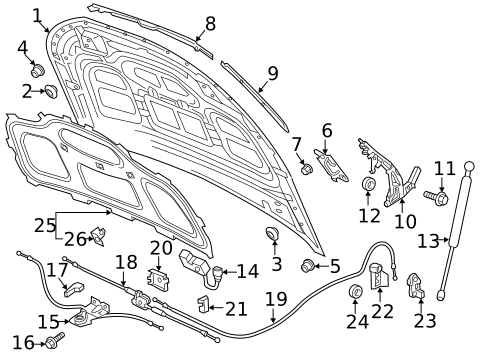 Hood & Components for 2019 Audi SQ5 #0