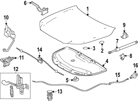 Hood & Components for 2025 Lexus TX500h #0