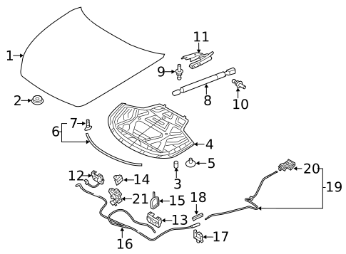 Hood & Components for 2019 INFINITI Q70 #0