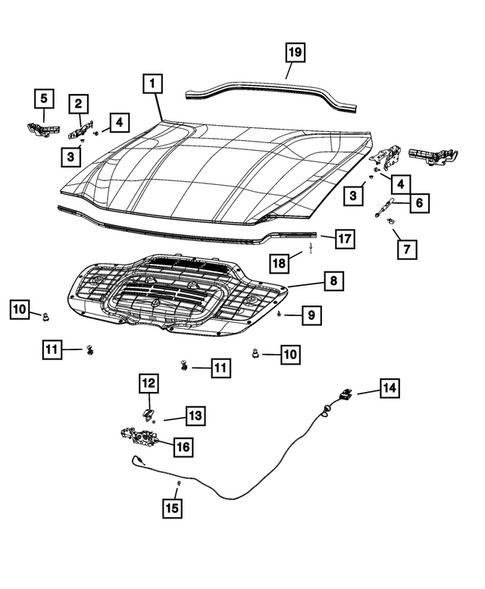 Hood and Hood Release for 2024 Dodge Charger #0