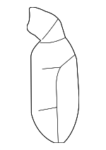 7266660080B1 - Body: Lock Cover for Lexus: LX470 Image