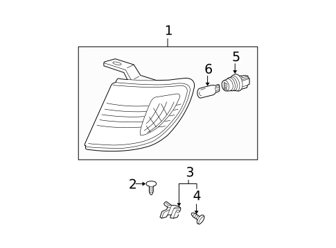 Park & Side Marker Lamps for 2001 Toyota Tacoma #1