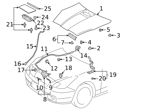 Exterior Trim - Hood for 2002 Toyota Celica #0