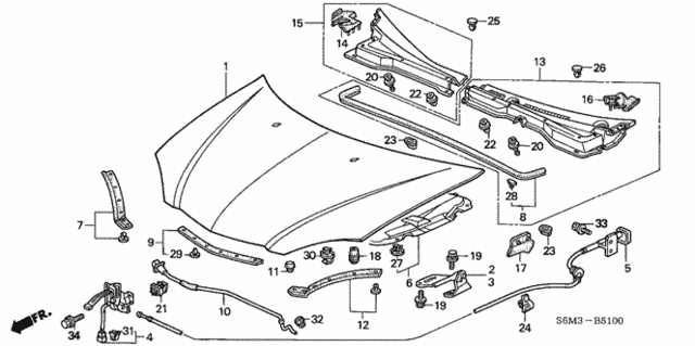 Hood for 2002 Acura RSX #0