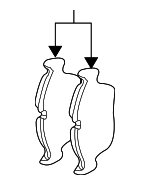 34116761244 - Brakes: Brake Pads for BMW: 318i, 318is, 318ti, 323Ci, 323i, 323is, 325Ci, 325i, 325is, 325xi, 328Ci, 328i, 328is, Z3, Z4 Image
