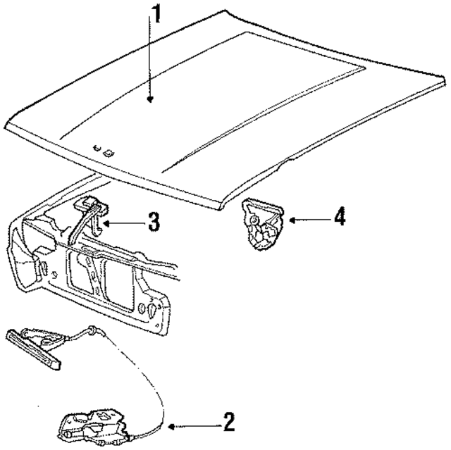 4490947 - Body: Hood for Mopar Image