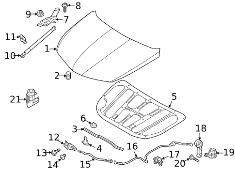 Hood & Components for 2012 Hyundai Azera #0