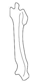 625502Y000 - : Lock Bracket for Nissan Image