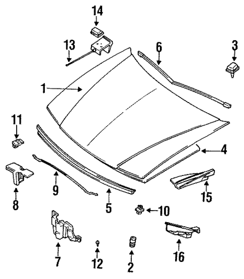 Hood & Components for 1993 Subaru Legacy #0