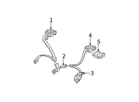 Rear Seat Belts for 2005 Honda Civic #0