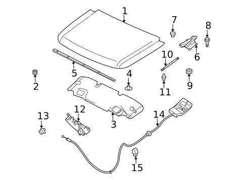 Hood & Components for 2013 Nissan Armada #0