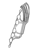 7493060050 - Body: Adjuster for Lexus: LX600 Image