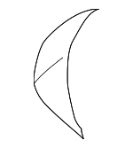 8N0881361A - Body: Seat Cushion Pad for Audi: TT, TT Quattro Image