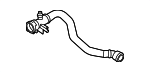 17128490261 - : Lower Hose for BMW: i5, i7, iX Image