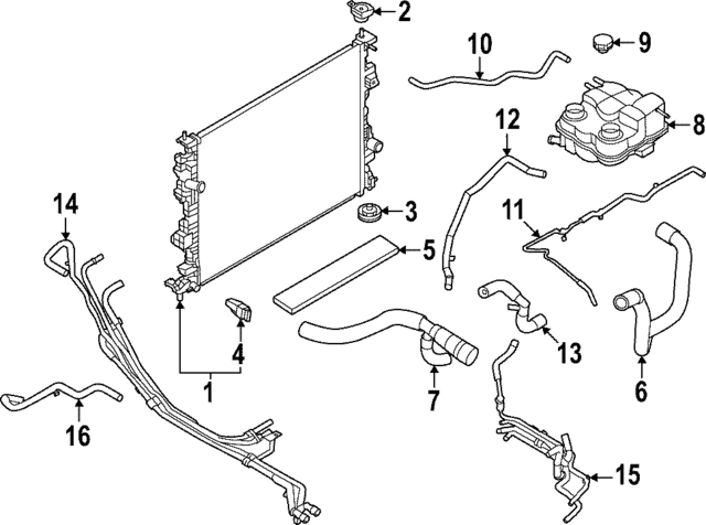 NZ6Z18472B - : Hose Assembly for Ford: Maverick Image