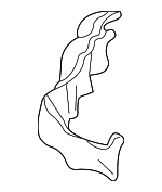 NC106885104 - Body: Trunk Side Trim for Mazda: Miata Image