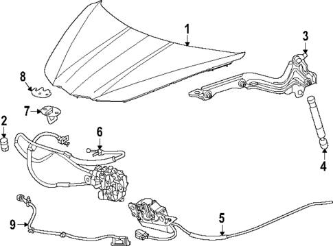 Hood & Components for 2024 Chevrolet Corvette #0