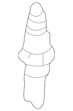 1881711051 - : Spark Plug for Hyundai Image