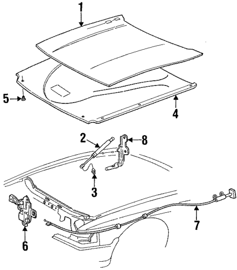 Hood & Components for 1995 Ford Crown Victoria #0