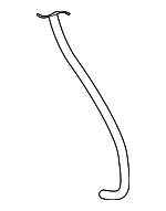 85374AC021 - : 2007-2011 Toyota Camry - Washer Hose for Toyota: Camry Image