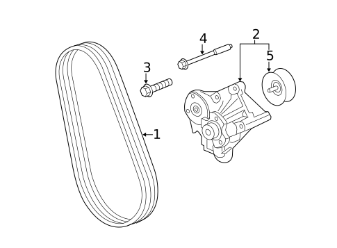 Belts & Pulleys for 2013 Land Rover Range Rover #1