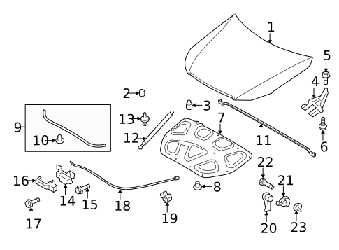 Hood & Components for 2009 Kia Borrego #0