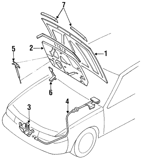 Exterior Trim - Hood for 1989 Nissan Maxima #0