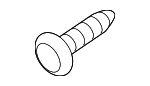 145100841 - Body: Rocker Molding Screw for INFINITI: EX35, EX37, FX35, FX37, FX45, FX50, G20, G25, G35, G37, I30, I35, JX35, M35, M35h, M37, M45, M56, Q40, Q45, Q50, Q60, Q70, Q70L, QX30, QX50, QX55, QX56, QX60, QX70, QX80 Image