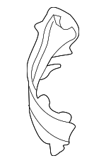 5510852070 - Body: Dash Panel Brace for Toyota Image