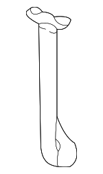 3B9885093B71N - Body: Pull Strap for Volkswagen: Passat Image