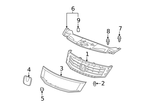 Grille & Components for 2010 Honda Accord #1