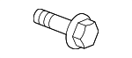 10293818 - Body: Fender Liner Screw for GM Image