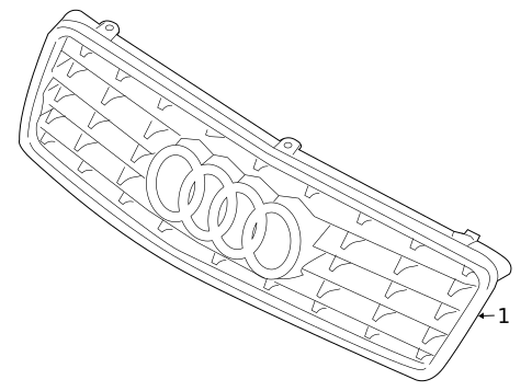 Grille & Components for 2005 Audi A4 Quattro #1
