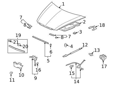 Hood & Components for 2004 Acura TL #0