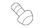 Fog Lamp Assembly Screw